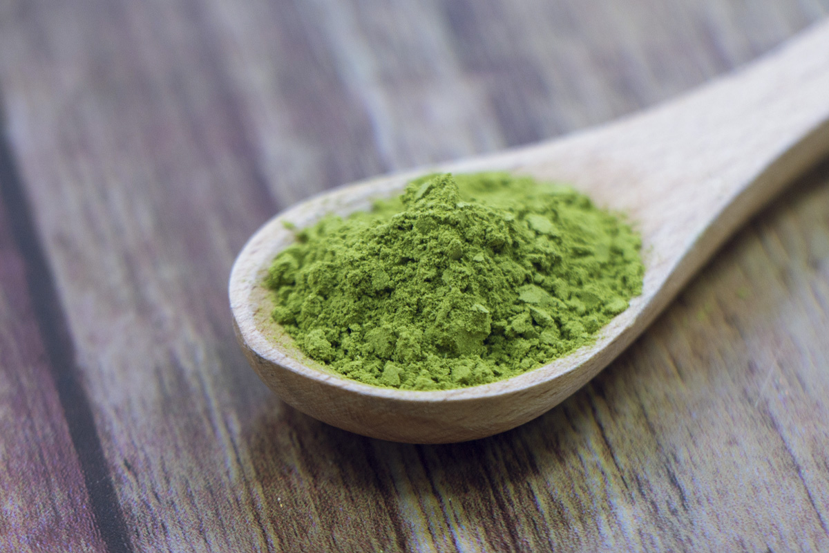 食生活を整える「モリンガ」を発売中